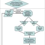 Medical Coding Process