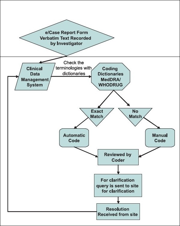 Medical Coding Process